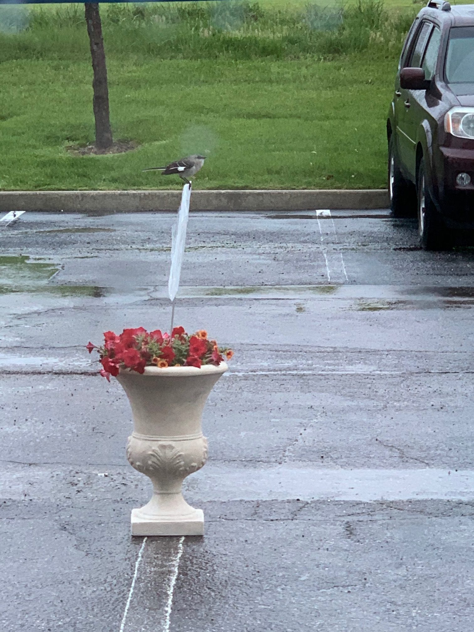 Curbside Synergy